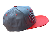 Chicago Orange Neon Flat Bill Gray Snapback Hat